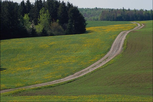 738087 Country Road A4 Photo Print