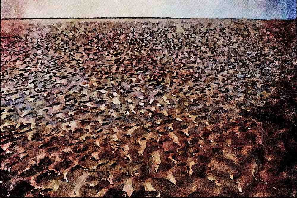 738091 Rippled Sand Texture A4 Limited Edition Watercolour Print