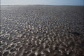 738091 Rippled Sand Texture A4 Photo Print
