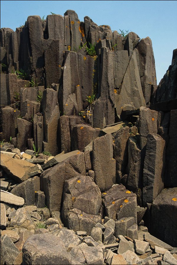 738095 Brier Island, Nova Scotia, Canada A4 Photo Print
