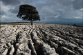 739000 Malham Cove, North Yorkshire, U.K. A4 Photo Print