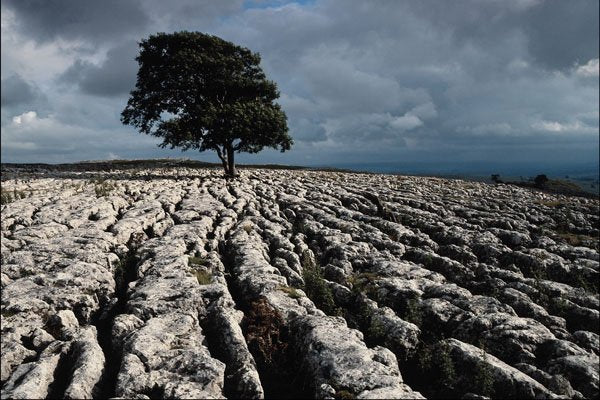 739000 Malham Cove, North Yorkshire, U.K. A4 Photo Print