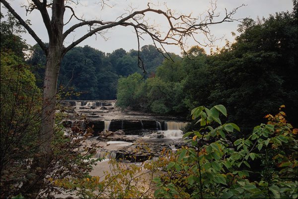 739002 Aysgarth Falls, North Yorkshire, U.K. A4 Photo Print