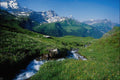 739006 Stream, Kalusenpass, Uri, Switzerland A4 Photo Print