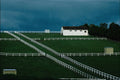 739008 Horse Stud Farm In Lilydale, Victoria, Australia A4 Photo Print