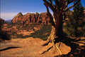 739015 Sedona, Arizona, U.S.A. A4 Photo Print