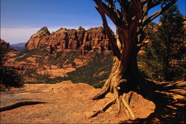 739015 Sedona, Arizona, U.S.A. A4 Photo Print