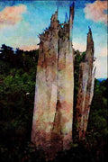 739017 Tree Stump, Gloucestershire, U.K. A4 Limited Edition Watercolour Print