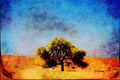 739024 Sossusvlei, Namib Desert, Namibia A4 Limited Edition Watercolour Print