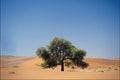739024 Sossusvlei, Namib Desert, Namibia A4 Photo Print