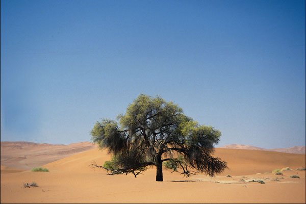 739024 Sossusvlei, Namib Desert, Namibia A4 Photo Print