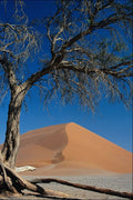739025 Sossusvlei, Namib Desert, Namibia A4 Photo Print