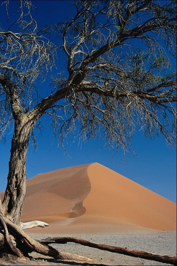 739025 Sossusvlei, Namib Desert, Namibia A4 Photo Print