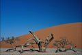 739026 Sossusvlei, Namib Desert, Namibia A4 Photo Print