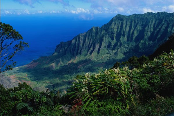 739034 Kalalan Lookout, Kauai, Hawaii, U.S.A. A4 Photo Print