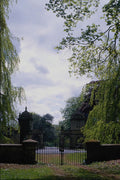 739037 Arboretum, Westonbirt, Gloucestershire, U.K. A4 Photo Print