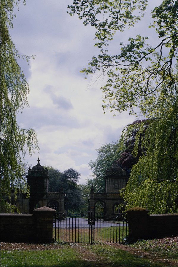 739037 Arboretum, Westonbirt, Gloucestershire, U.K. A4 Photo Print