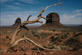 739040 Monument Valley, Utah, U.S.A. A4 Photo Print