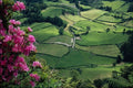 739041 Landscape At Sao Miguel, Acores Islands A4 Photo Print