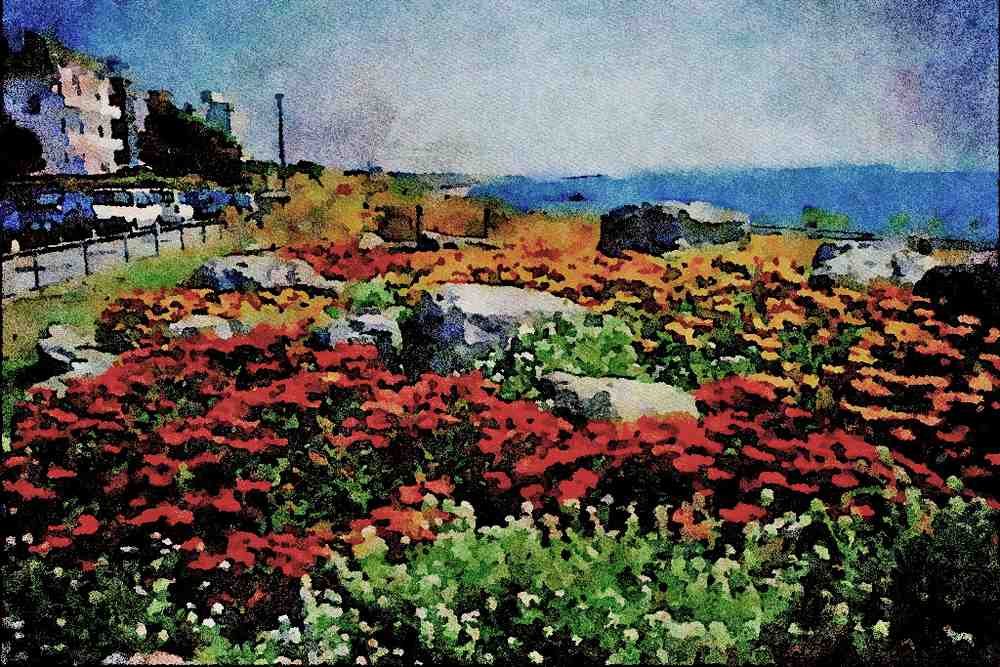 739044 Cliff Flowers, Bournemouth, U.K. A4 Limited Edition Watercolour Print