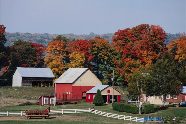 739052 Farm North Of Thurso, Quebec, Canada A4 Photo Print