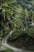 739054 Winding Road, Jamaica A4 Photo Print