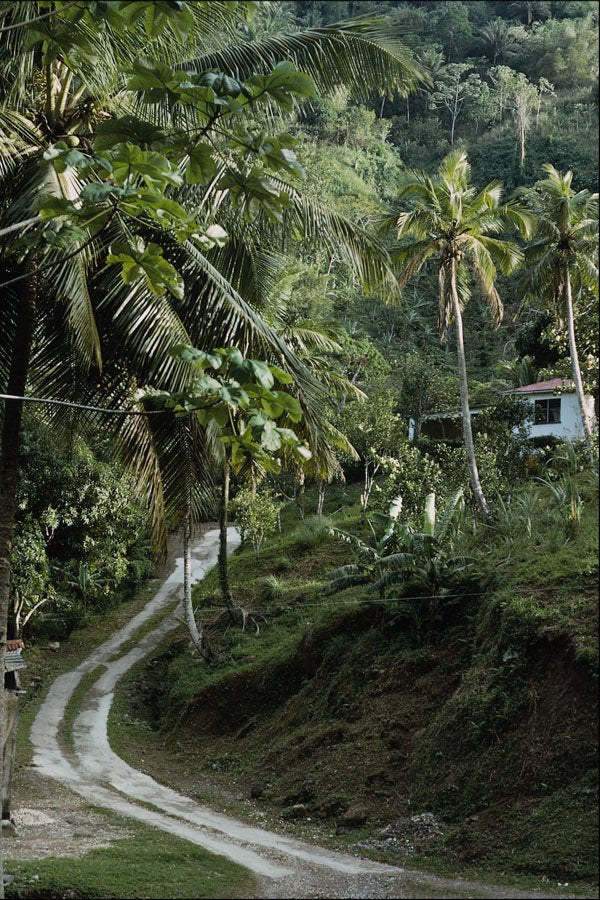 739054 Winding Road, Jamaica A4 Photo Print
