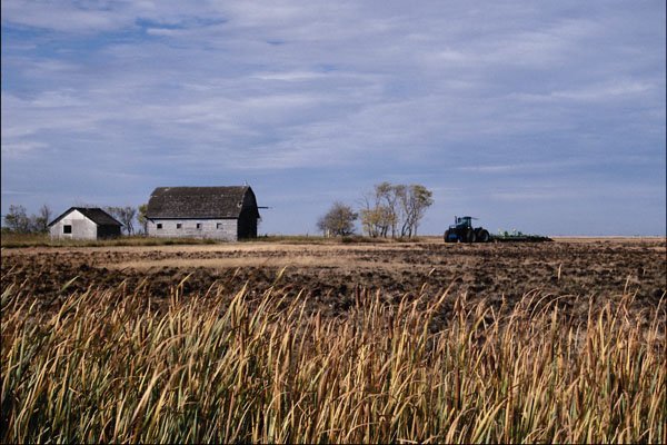 739055 Prairie Farm Scene, Highway 220, Manitoba, Canada A4 Photo Print