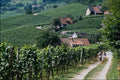 739056 Sasbachwalden, Black Forest, Germany A4 Photo Print