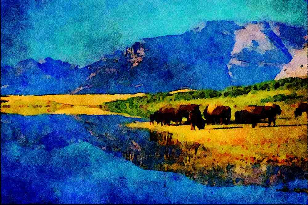 739063 Bison And Mountain Reflections, Waterton Lakes A4 Limited Edition Watercolour Print