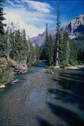 739064 View Downstream Of St. Mary River A4 Photo Print