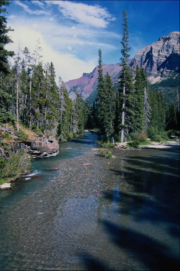 739064 View Downstream Of St. Mary River A4 Photo Print