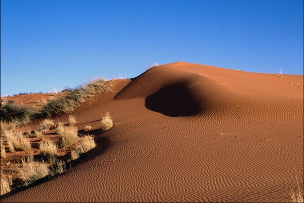 739066 Kalahari Desert, Botswana A4 Photo Print