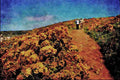 739070 South Coast, Guernsey, U.K. A4 Limited Edition Watercolour Print