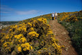 739070 South Coast, Guernsey, U.K. A4 Photo Print