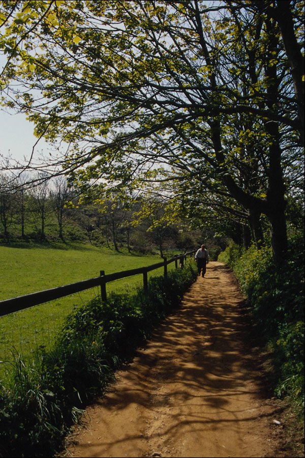 739071 Country Path, Sark Island, U.K. A4 Photo Print