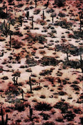 739087 Sonora Desert Near Point Lobos, Mexico A4 Limited Edition Watercolour Print