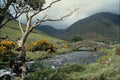 739090 Wasdale Head, Lake District, U.K. A4 Photo Print