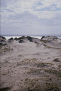 739099 Sand Dunes, Newborough Warren, Angelsea, U.K. A4 Photo Print