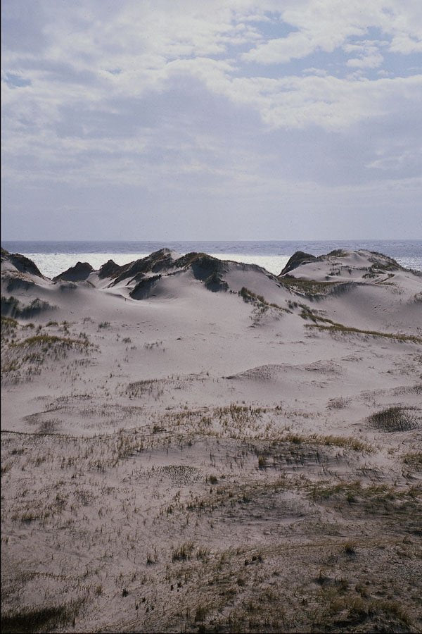 739099 Sand Dunes, Newborough Warren, Angelsea, U.K. A4 Photo Print