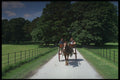 741009 Jaunting Car Company, Kerry, Ireland A4 Photo Print