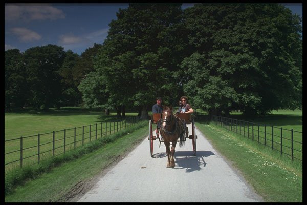 741009 Jaunting Car Company, Kerry, Ireland A4 Photo Print