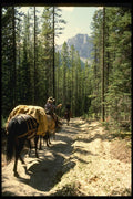741018 Michael And Belinda, Descending Narrow Trail A4 Photo Print