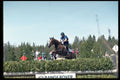741020 Horse Jump Over Hedge, Feversham, U.K. A4 Photo Print