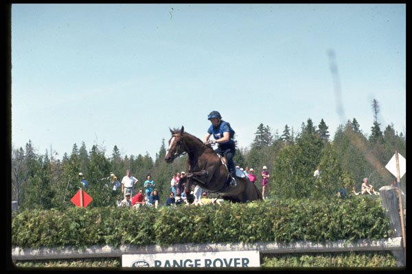 741020 Horse Jump Over Hedge, Feversham, U.K. A4 Photo Print