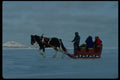 741027 Horse And Cutter, Magdalen Islands, Quebec, Canada A4 Photo Print