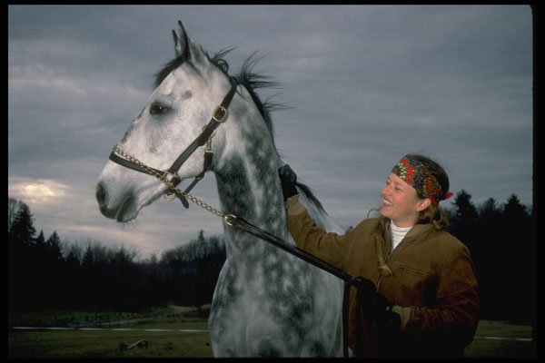 741028 Horse And Rider, Quebec, Canada A4 Photo Print