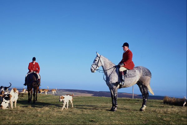741052 Huntsmen And Hounds A4 Photo Print