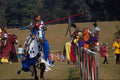 741065 Jousting A4 Photo Print