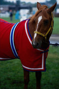 741093 Chestnut Pony With White Blaze And Red Blanket A4 Photo Print